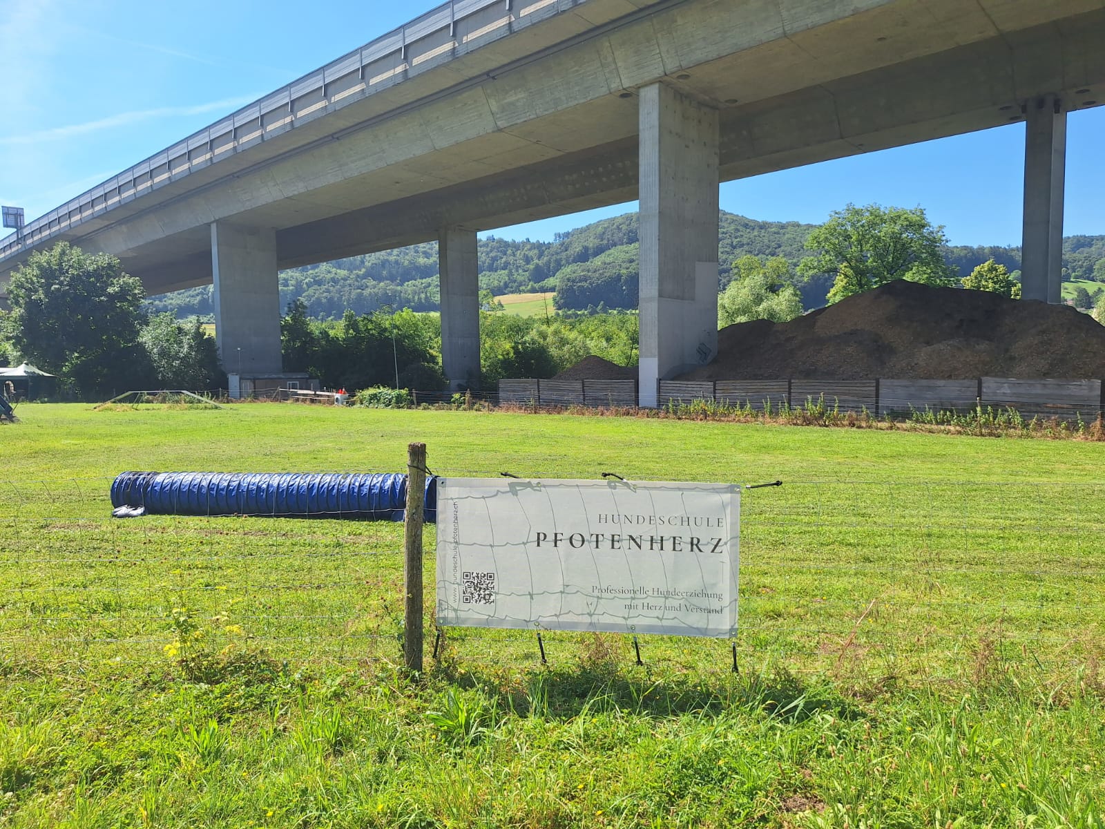 Hundeschule Pfotenherz – Impressionen vom Hundetraining